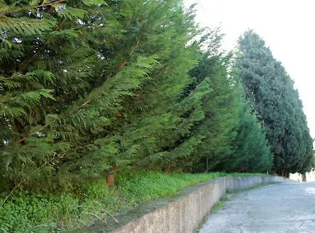 Aparthotel San Michele Apartments&rooms Catanzaro